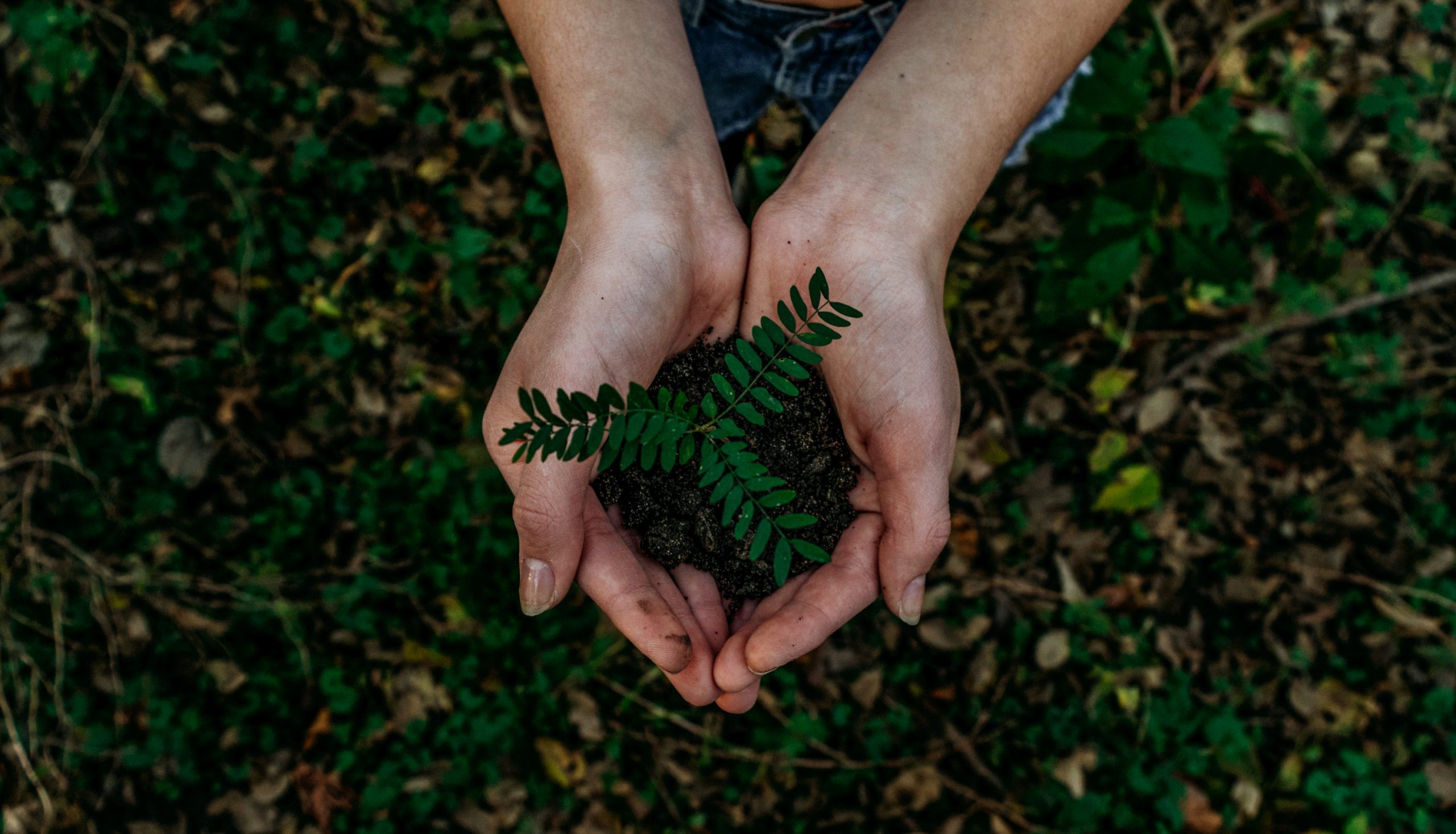 You are currently viewing What Is the Purpose of Sustainable Development?